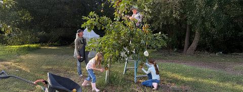 Sisters Lemonade: Bringing Georgia's Sweetness to Every Sip